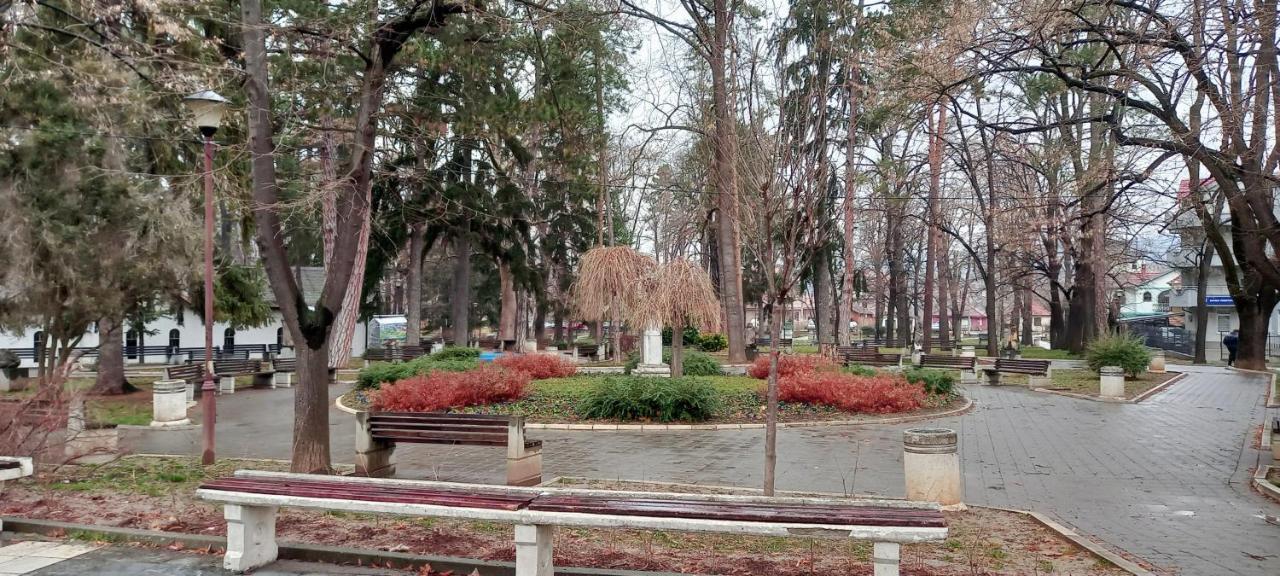 Mist8 Daire Soko Banja Dış mekan fotoğraf